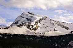 雪冰川峰会冰川国家公园蒙大拿美国