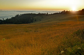 红木山日落红木国家公园秃山路加州美国自然照片集合