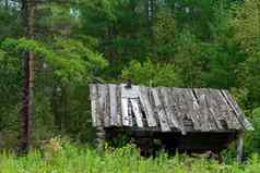 被遗弃的出生边缘森林夏天时间木小屋森林猎人房子