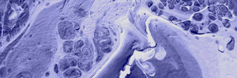 广泛的丙烯酸油漆摘要背景使技术流体艺术展示颜色仙女