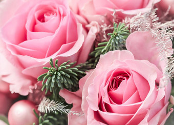粉红色的玫瑰冷杉分支机构宏花背景假期设计