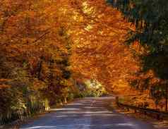 美丽的的地方特兰西瓦尼亚秋天图片