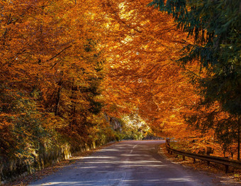 美丽的的地方特兰西瓦尼亚<strong>秋天图片</strong>