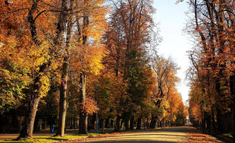美丽的的地方特兰西瓦尼亚秋天图片