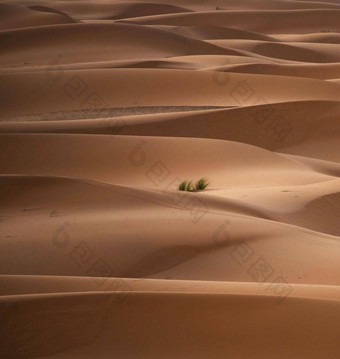 风景优美的脊沙子沙丘撒哈拉<strong>沙漠沙漠</strong>摩洛哥