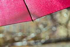 片段红色的伞雨滴阳光明媚的夏天一天