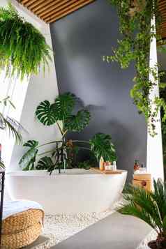美丽的舒适的浴室白色浴缸热带植物木装饰元素身体护理化妆品