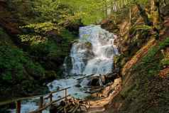 冷水域强大的瀑布斯波特美丽的自然夏天风景森林参观了位置喀尔巴阡山脉的山乌克兰