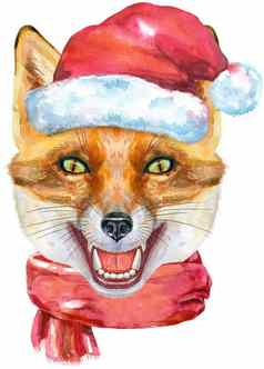 狐狸头圣诞老人他红色的围巾水彩狐狸绘画插图孤立的白色背景