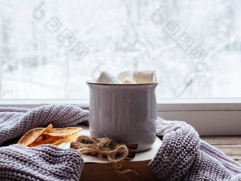 咖啡棉花糖肉桂书舒适的灰色毛衣古董窗台上雪景观软焦点放松冬天一天首页传统的冬天热喝
