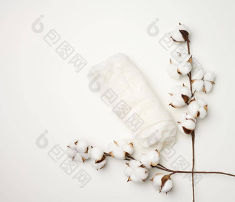 一块白色纱布用钉子钉上白色棉花花表格