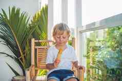可爱的金发碧眼的男孩吃自制的冰淇淋坐着木椅子