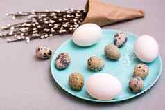 快乐复活节鸡鹌鹑鸡蛋板包装猫咪柳树分支机构灰色的背景