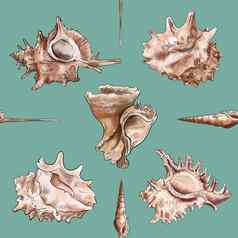 水彩数字插图无缝的模式贝壳棕色（的）海洋生活蓝色的背景