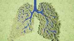 森林肺环境自然地球保存地球绿色地球渲染