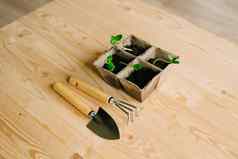 发芽黄瓜种子小花园工具