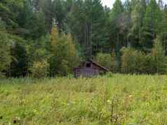 被遗弃的出生边缘森林夏天时间木小屋森林猎人房子