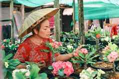 亚洲女人越南稻草他微笑持有盆栽花花园