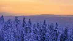 雄伟的日落山景观喀尔巴阡山脉的乌克兰