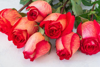 花束美丽的橙色系玫瑰谎言光背景纹理石膏