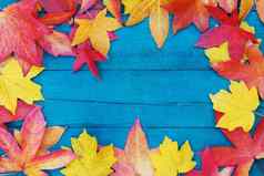 秋天下降干叶子黄色的红色的橙色颜色行周长框架木板材苍白的蓝色的颜色
