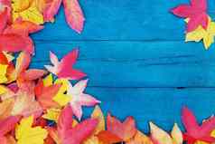秋天下降干叶子黄色的红色的橙色颜色行周长框架木板材苍白的蓝色的颜色