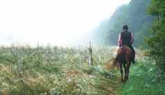 早期早....盛开的草地上了年纪的男人。骑马男人。敏锐的马背上的骑满足黎明绿色内陆地区