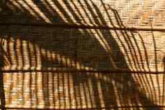 竹子织背景竹子木纹理