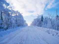 白雪覆盖的路白雪覆盖的树冬天乌拉尔森林