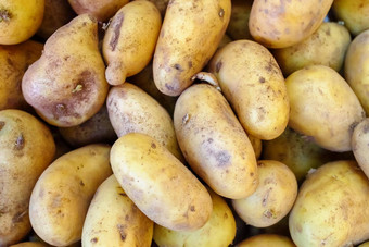 新鲜的有机土豆站大背景potatos市场