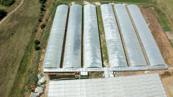空中视图农业温室江南有机新鲜的绿色沙拉