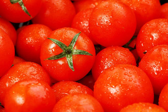 很多新鲜的成熟的西红柿滴露水特写镜头背景纹理红色的心绿色尾巴新鲜的樱桃西红柿绿色叶子背景红色的西红柿