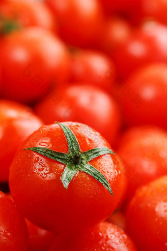 很多<strong>新鲜</strong>的成熟的西红柿滴露水特写镜头背景纹理红色的心绿色尾巴<strong>新鲜</strong>的<strong>樱桃</strong>西红柿绿色<strong>叶</strong>子背景红色的西红柿