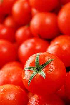 新鲜的樱桃西红柿绿色叶子背景红色的西红柿