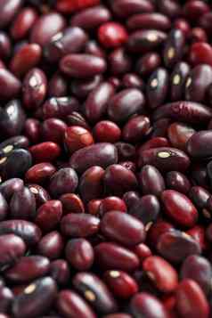 特写镜头粮食红色的豆种子纹理蔬菜关闭红色的豆子背景种子红色的豆子