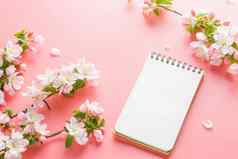 盛开的春天樱花粉红色的背景记事本空间问候消息概念春天母亲的一天美丽的精致的粉红色的樱桃花春天