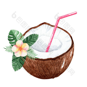 水彩椰子热带鸡尾酒孤立的白色背景
