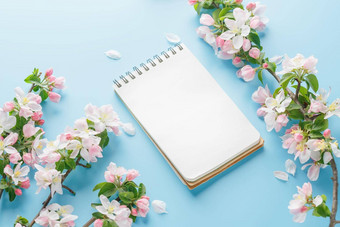 盛开的春天樱花蓝色的背景记事本空间问候消息概念春天母亲的一天美丽的精致的粉红色的樱桃花春天