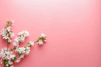 <strong>樱花</strong>盛开的春天花粉红色的背景空间问候消息概念春天母亲的一天美丽的精致的粉红色的樱桃花春天