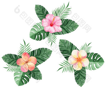 水彩热带叶子花作文集孤立的白色背景邀请卡片装饰