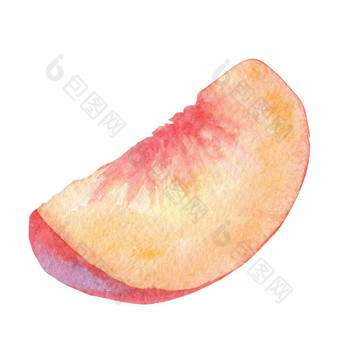 水彩片桃子水果隔离白色背景品牌设计厨房装饰