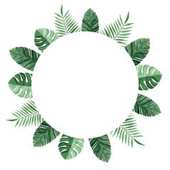 水彩轮框架绿色热带棕榈叶子孤立的白色背景