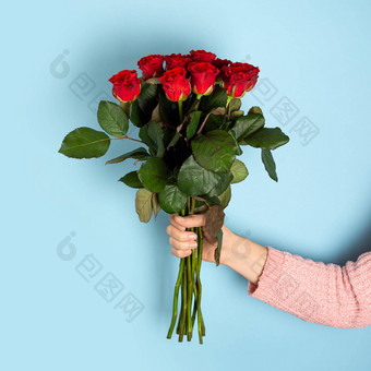 手持有美丽的大花束红色的玫瑰光蓝色的背景时尚的横幅情人节一天国际女人的一天母亲一天