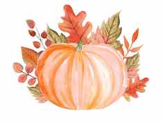 水彩柔和的橙色南瓜秋天叶子装饰孤立的白色背景问候卡片感恩节一天