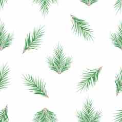 水彩绿色云杉分支机构无缝的模式白色背景圣诞节打印织物纺织包装剪贴簿