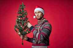 男人。毛衣圣诞节假期圣诞节树装饰