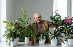 移植植物盆栽房子植物上了年纪的女人订婚了爱好盆栽绿色植物首页