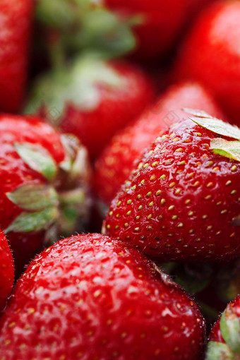 多汁的成熟的自然红色的草莓转基因生物草莓完整的框架特写镜头