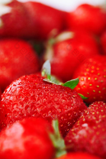 多汁的成熟的自然<strong>红色</strong>的草莓转<strong>基因</strong>生物草莓完整的框架特写镜头