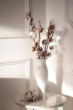 白色干棉花分支机构花束白色花瓶白色墙背景室内装饰